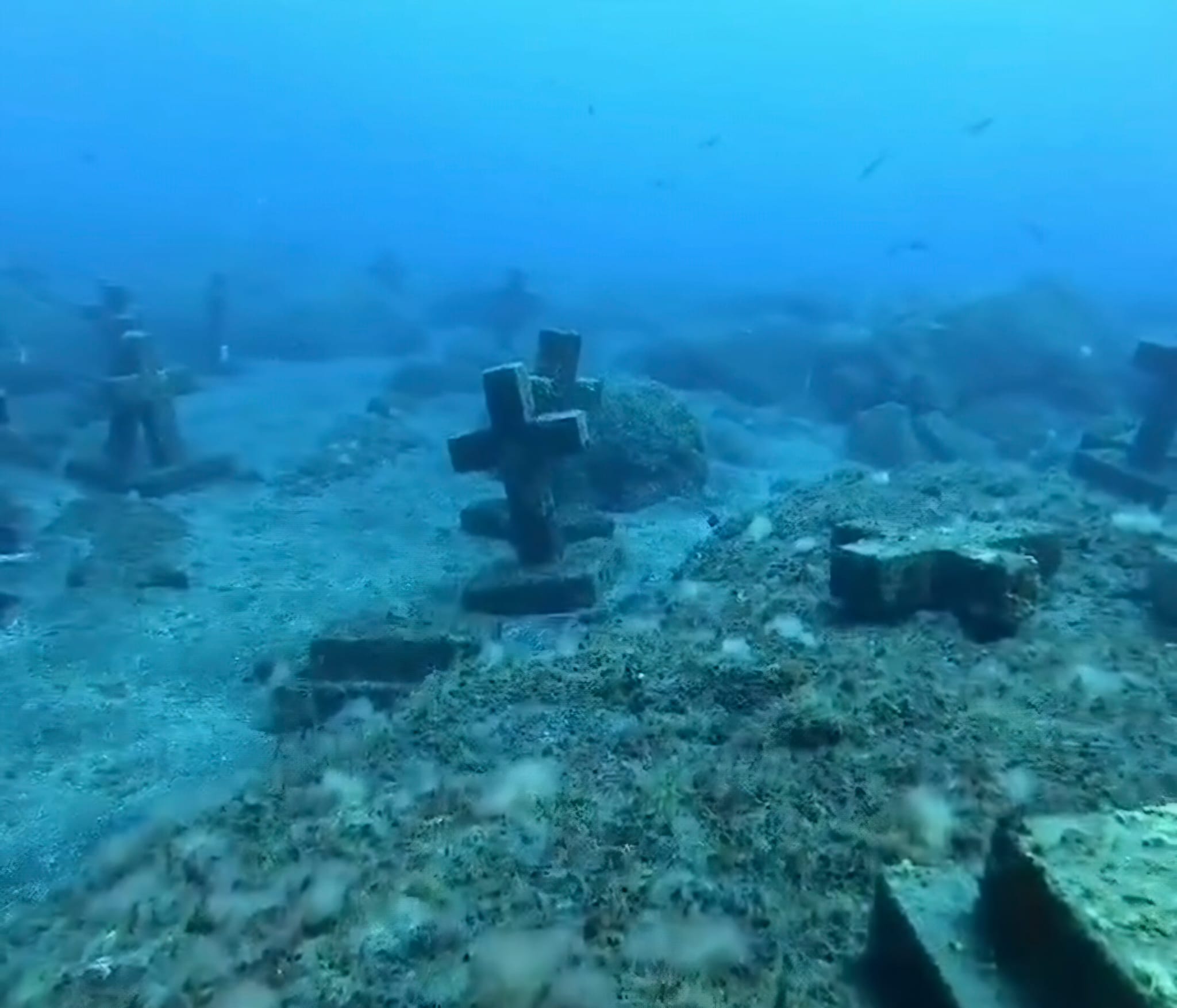 Cementerio submarino único en La Palma - Buceo Sub La Palma